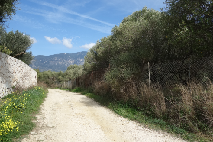 Image No.2-Terre à vendre à Spartia