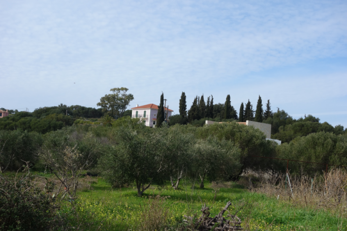 Image No.4-Terre à vendre à Spartia