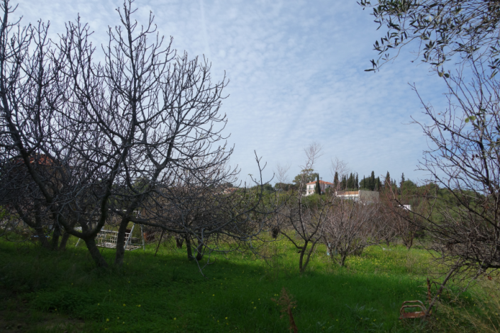 Image No.7-Terre à vendre à Spartia