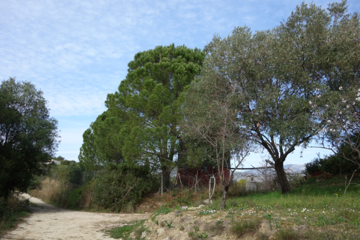 Image No.8-Terre à vendre à Spartia