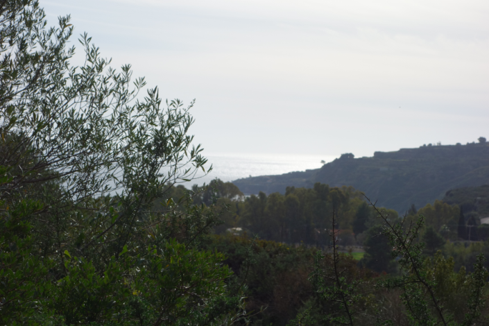 Image No.9-Terre à vendre à Spartia