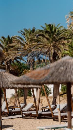 Image No.9-Bar à vendre à Skala