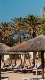 IMG-d996806f74e60bddea0a404dd61d98f4-V_marked