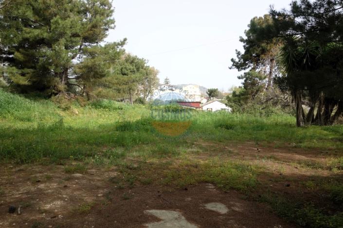 Image No.20-Bar à vendre à Skala