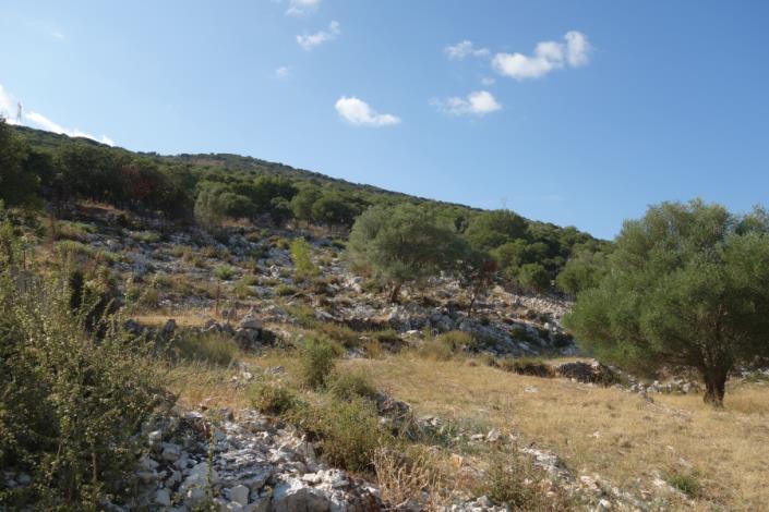 Image No.4-Plot for sale