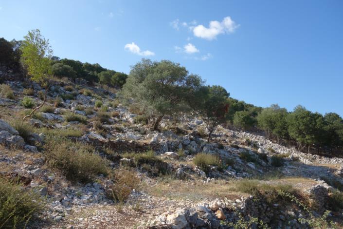 Image No.8-Plot for sale