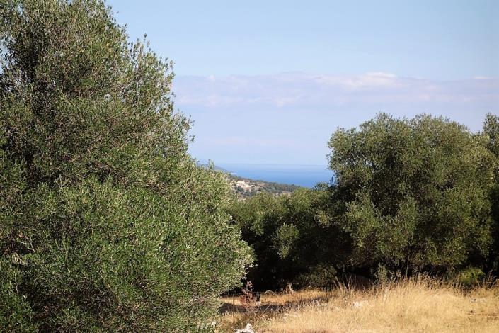 Image No.15-Plot for sale