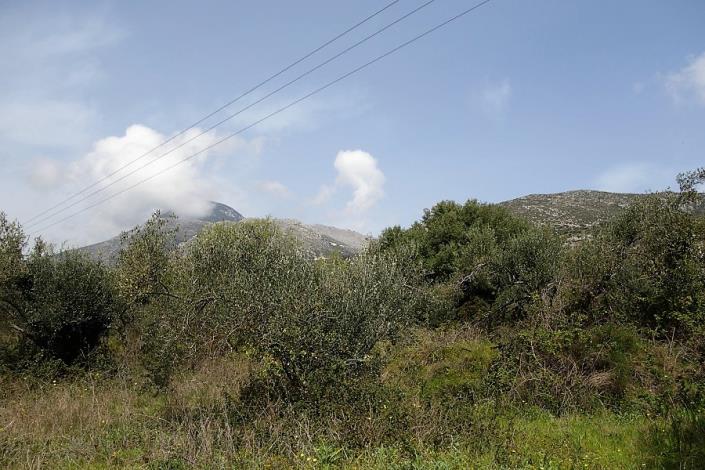 Image No.5-Plot for sale