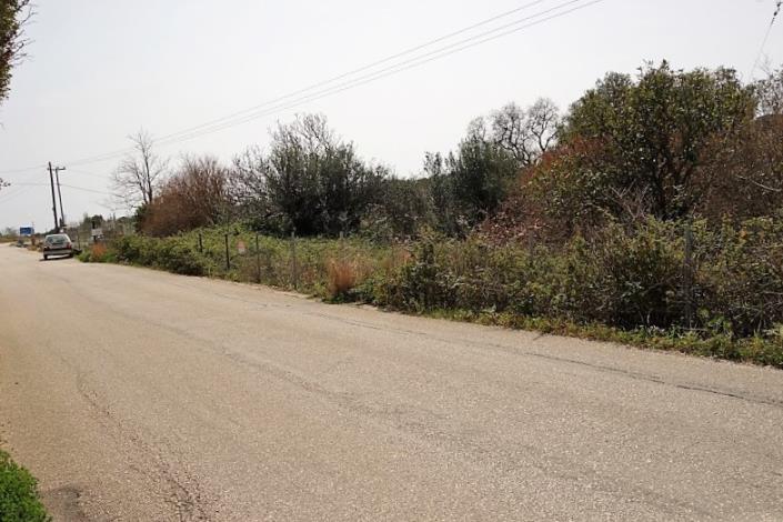 Image No.11-Plot for sale