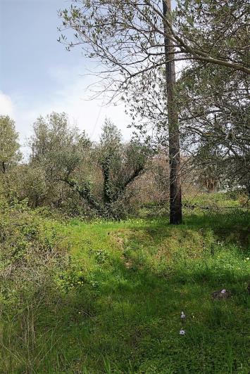 Image No.14-Plot for sale