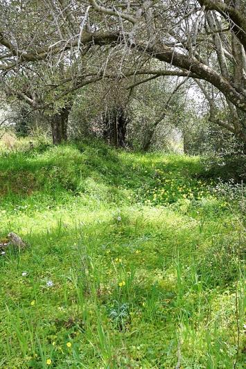 Image No.16-Plot for sale