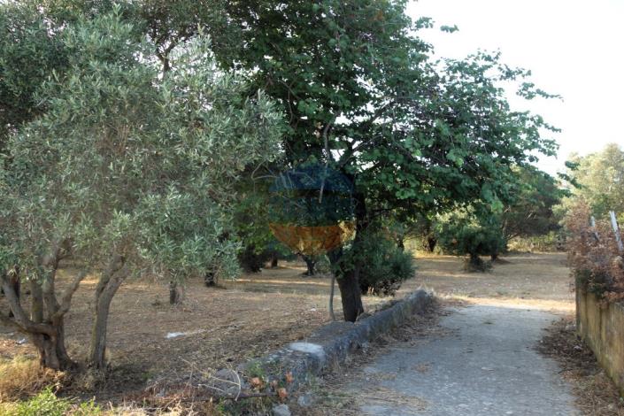 Image No.4-Plot for sale