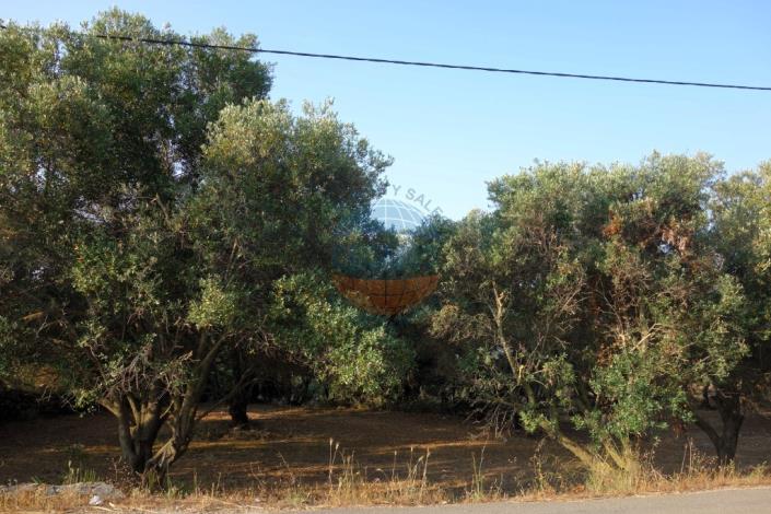 Image No.6-Plot for sale