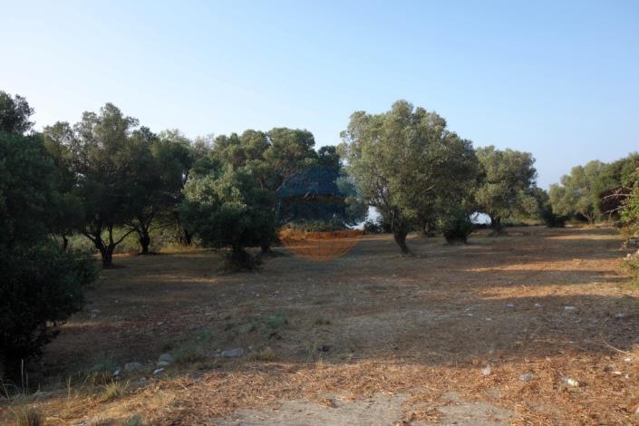 Image No.8-Plot for sale