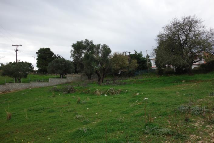 Image No.5-Terre à vendre à Skala