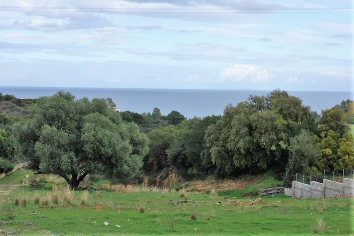 Image No.9-Terre à vendre à Skala