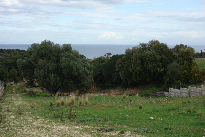 Image No.12-Terre à vendre à Skala