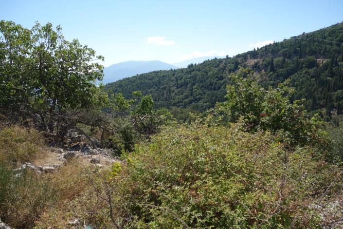 Image No.2-Plot for sale