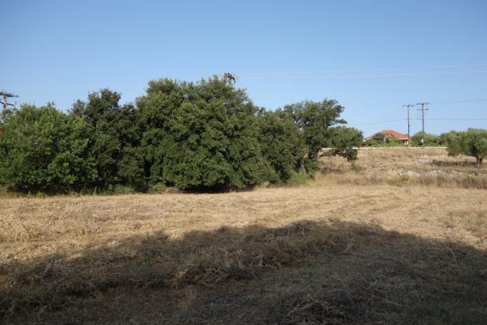 Image No.23-Terrain à vendre à Metaxata