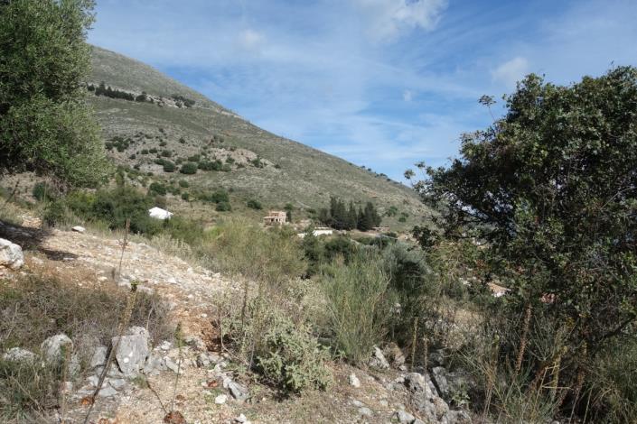 Image No.4-Terre à vendre à Agia Efimia