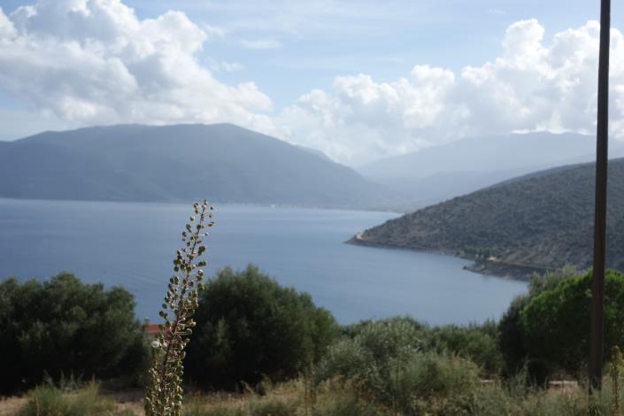 Image No.5-Terre à vendre à Agia Efimia