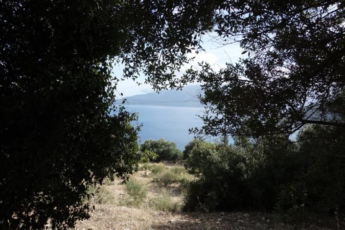 Image No.8-Terre à vendre à Agia Efimia