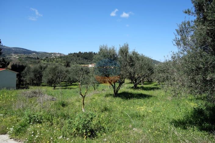 Image No.7-Land for sale