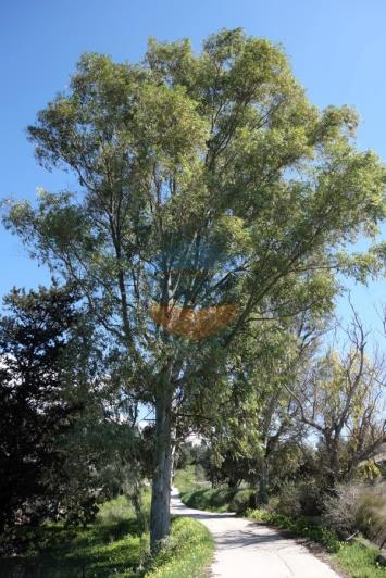 Image No.15-Land for sale