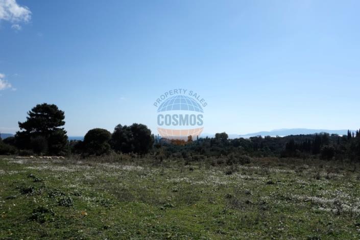 Image No.5-Terre à vendre à Klismata