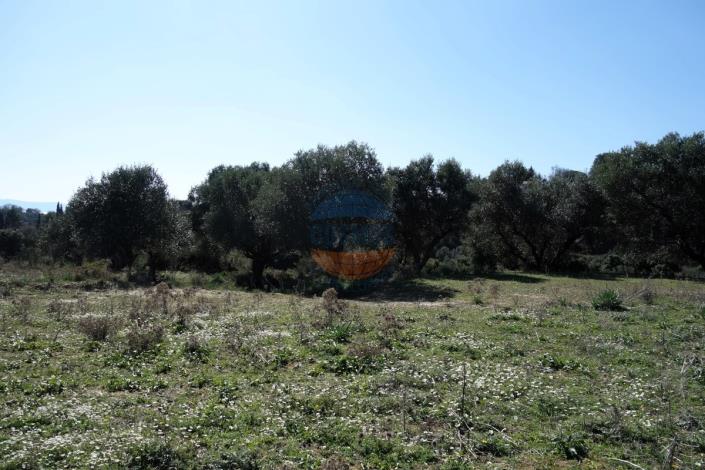 Image No.11-Terre à vendre à Klismata