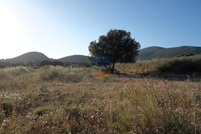 Image No.17-Terre à vendre à Karavados