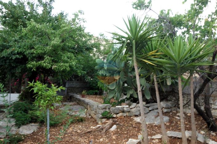 Image No.40-Maison de 3 chambres à vendre à Agia Efimia