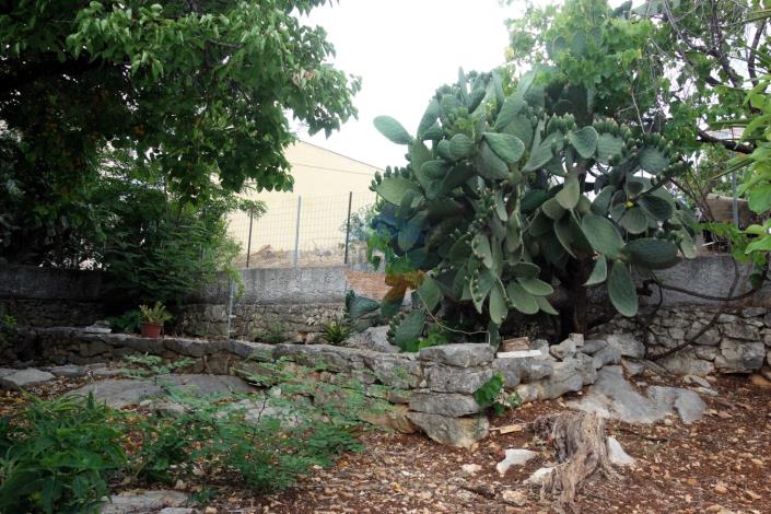 Image No.39-Maison de 3 chambres à vendre à Agia Efimia