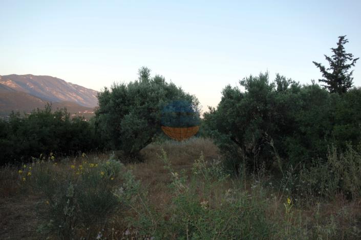 Image No.9-Plot for sale