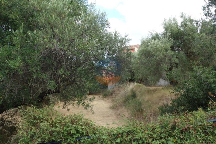 Image No.16-Plot for sale