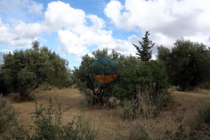 Image No.18-Plot for sale