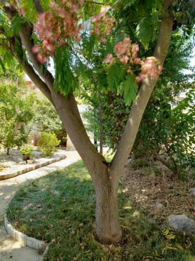 Image No.41-Maison de 3 chambres à vendre à Karavomilos