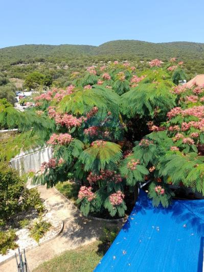 Image No.46-Maison de 3 chambres à vendre à Karavomilos