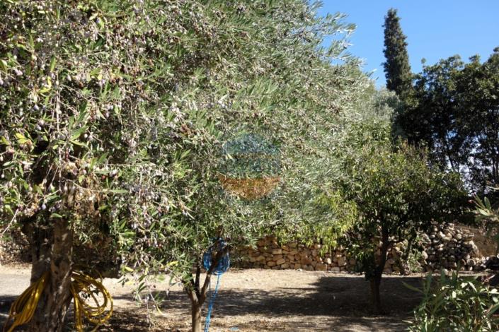 Image No.35-Manoir de 7 chambres à vendre à Svoronata