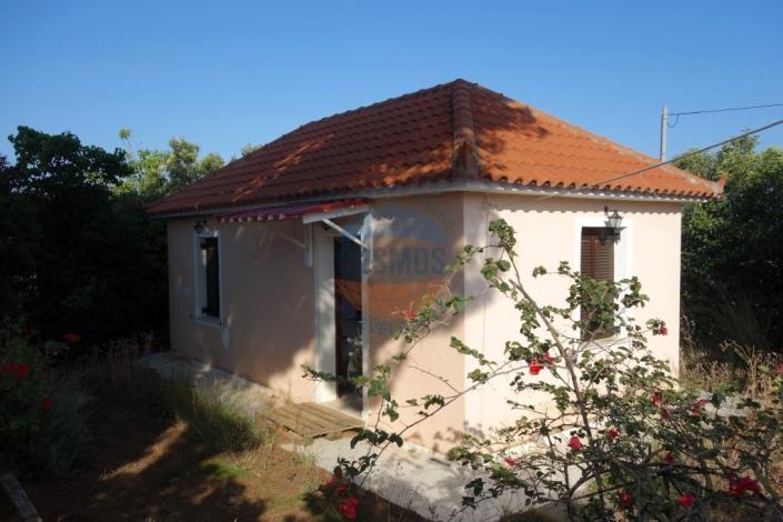 Image No.1-floorplan-1