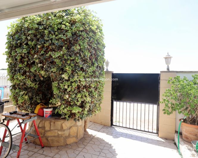 Image No.21-Propriété de 4 chambres à vendre à Formentera Del Segura