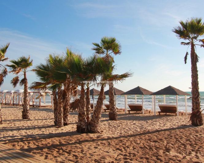 Image No.12-Appartement de 1 chambre à vendre à Guardamar del Segura