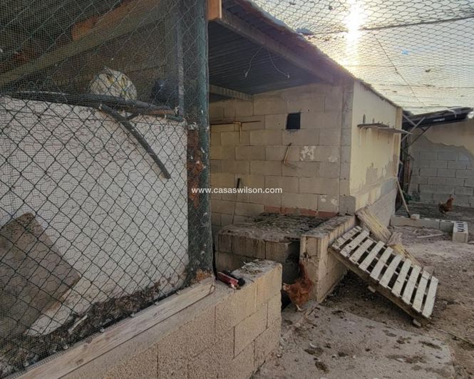 Image No.18-Propriété de 1 chambre à vendre à San Miguel de Salinas