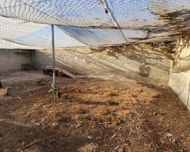 Image No.19-Propriété de 1 chambre à vendre à San Miguel de Salinas