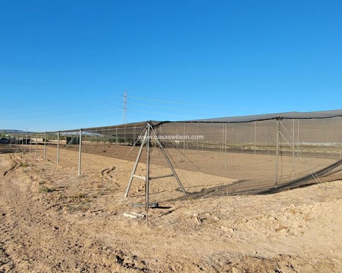 Image No.25-Propriété de 1 chambre à vendre à San Miguel de Salinas