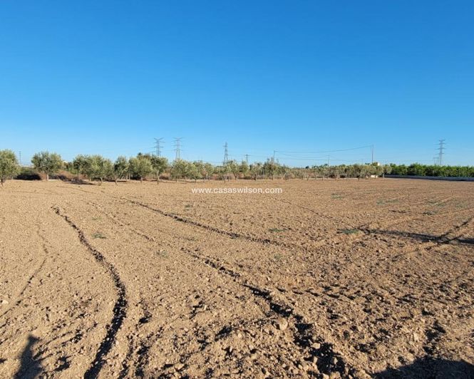Image No.26-Propriété de 1 chambre à vendre à San Miguel de Salinas