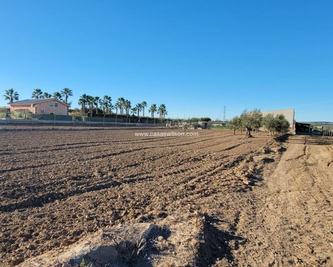Image No.28-Propriété de 1 chambre à vendre à San Miguel de Salinas