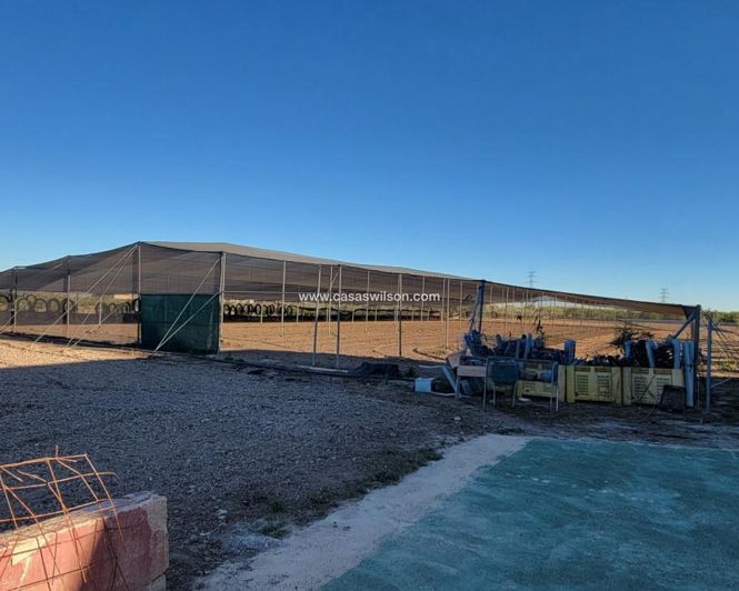 Image No.3-Propriété de 1 chambre à vendre à San Miguel de Salinas