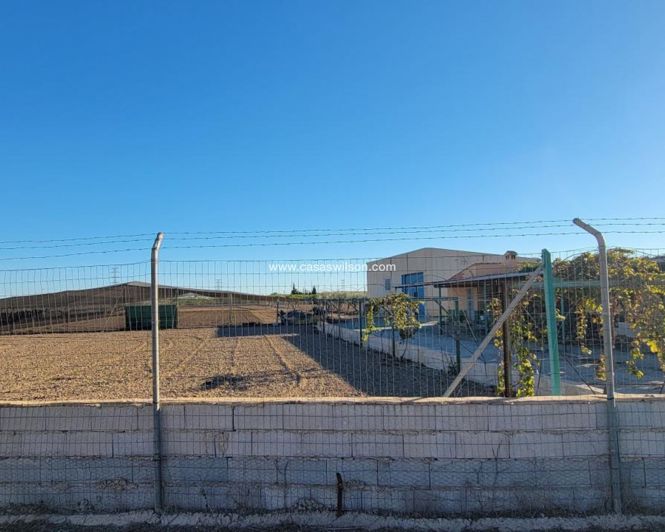 Image No.5-Propriété de 1 chambre à vendre à San Miguel de Salinas