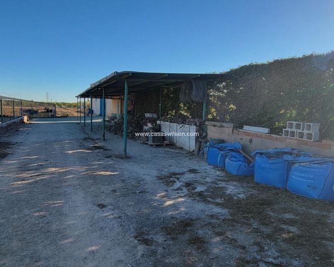 Image No.7-Propriété de 1 chambre à vendre à San Miguel de Salinas